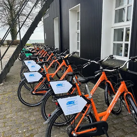 Og 3* Rødvig